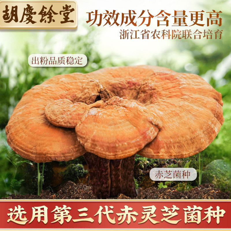 胡庆余堂破壁灵芝孢子粉胶囊