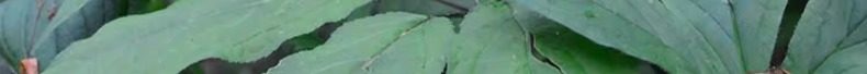 detail_img_8.jpg