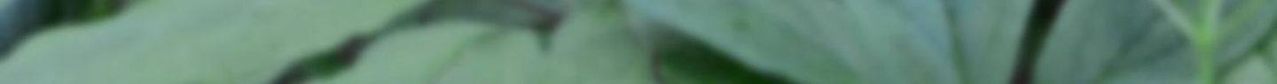 detail_img_7.jpg