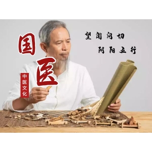 灵枢通脉术推拿传承班